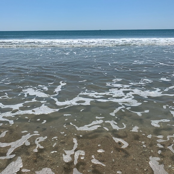 Meet your Posher, Jessica - Picture 1 of 1